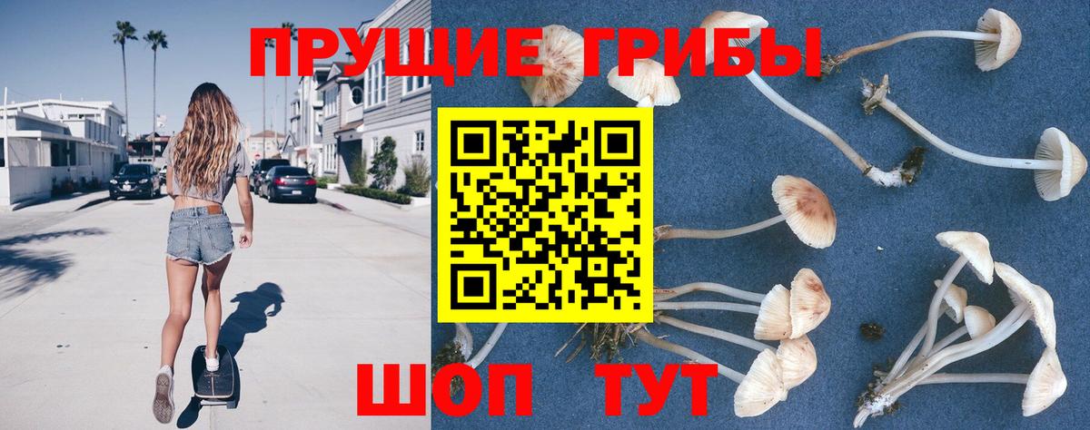 Псилоцибиновые грибы мицелий  Псилоцибиновые грибы прущие грибы  Зерноград  Вход с VPN 